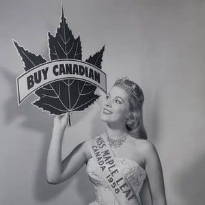 Meet your Posher, Pete and dawn